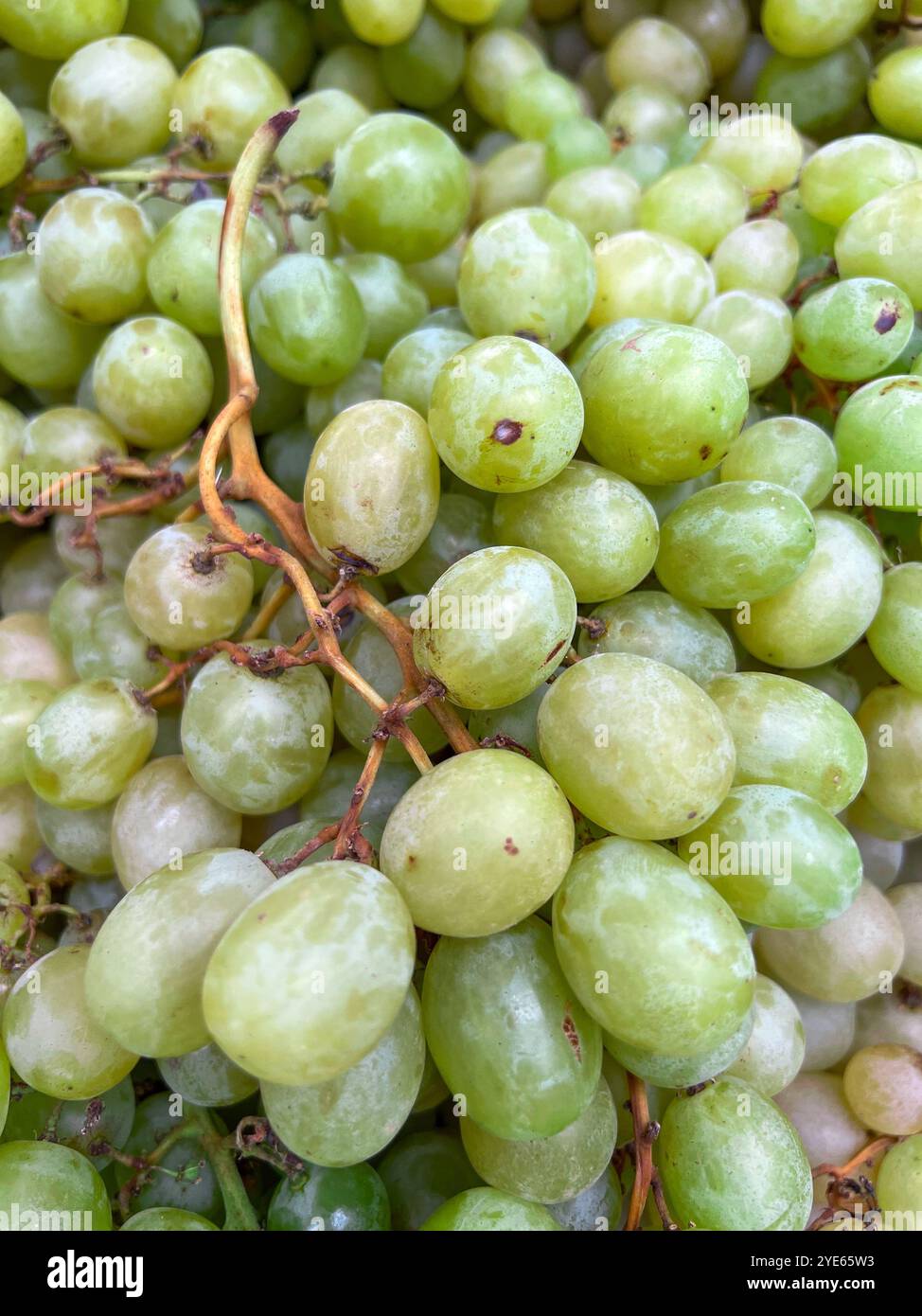 Green grape wine background, green grape wine from market. Fruits from the market. - Smartphone Captured Stock Image