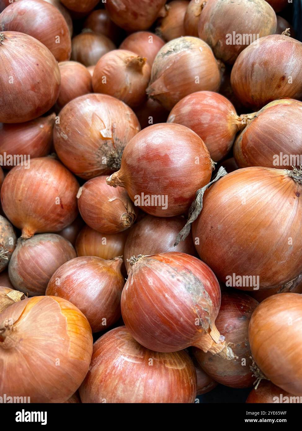 Onion background, lots of onions. Vegetables from the market. - Smartphone Captured Stock Image