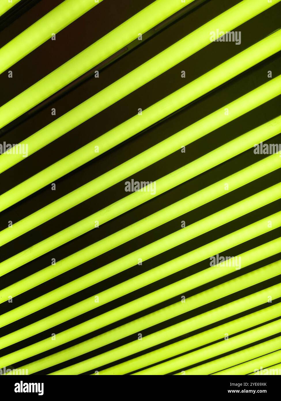Fluorescent green light bulbs in a row - Smartphone Captured Stock Image