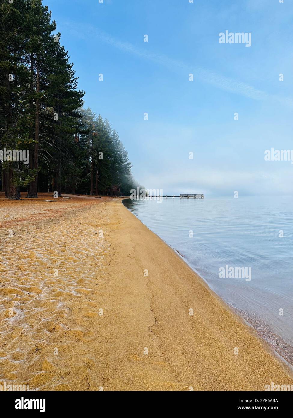 Pacific north west nature - Smartphone Captured Stock Image