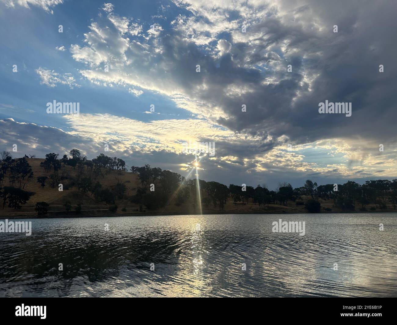 Pacific north west nature - Smartphone Captured Stock Image