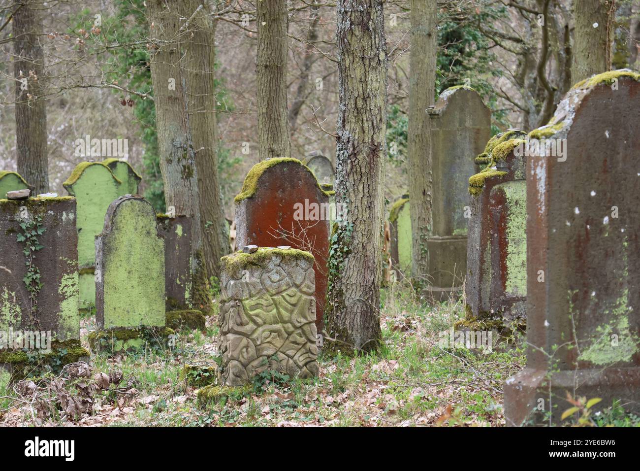 Gravestones with lichen and moss in an old Jewish cemetery , Germany, Rhineland-Palatinate, Moselle Stock Photo