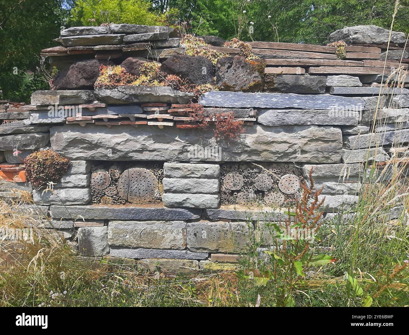 stone slabs and wood as habitats for insects, Germany Stock Photo - Alamy