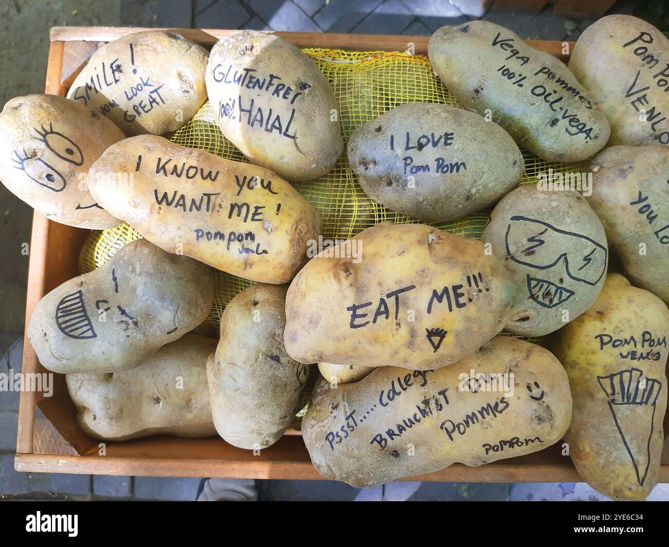 potato (Solanum tuberosum), Giant potatoes with labels to whet your ...