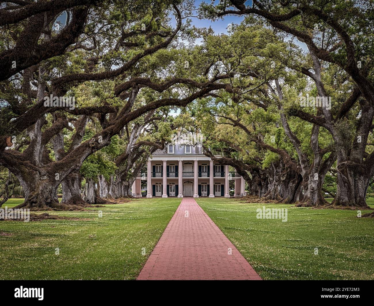 Oak Alley Plantation, Vacherie, St. James Parish, Louisiana, USA - Smartphone Captured Stock Image