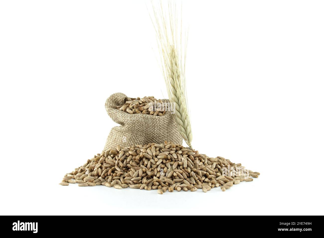 Detailed image of corn plant hi-res stock photography and images - Alamy
