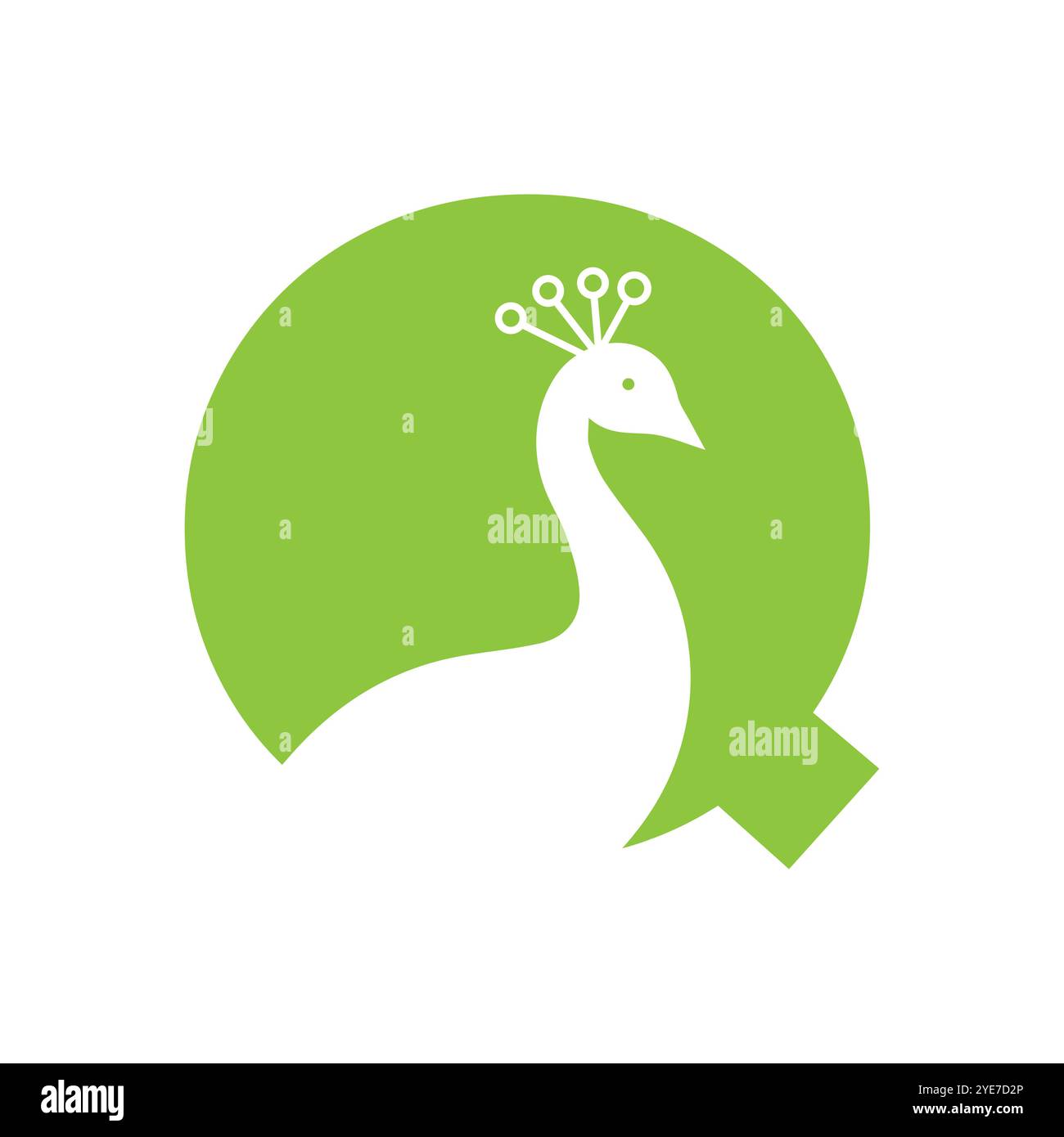 Letter Q Peacock Logo Design Vector Template Stock Vector