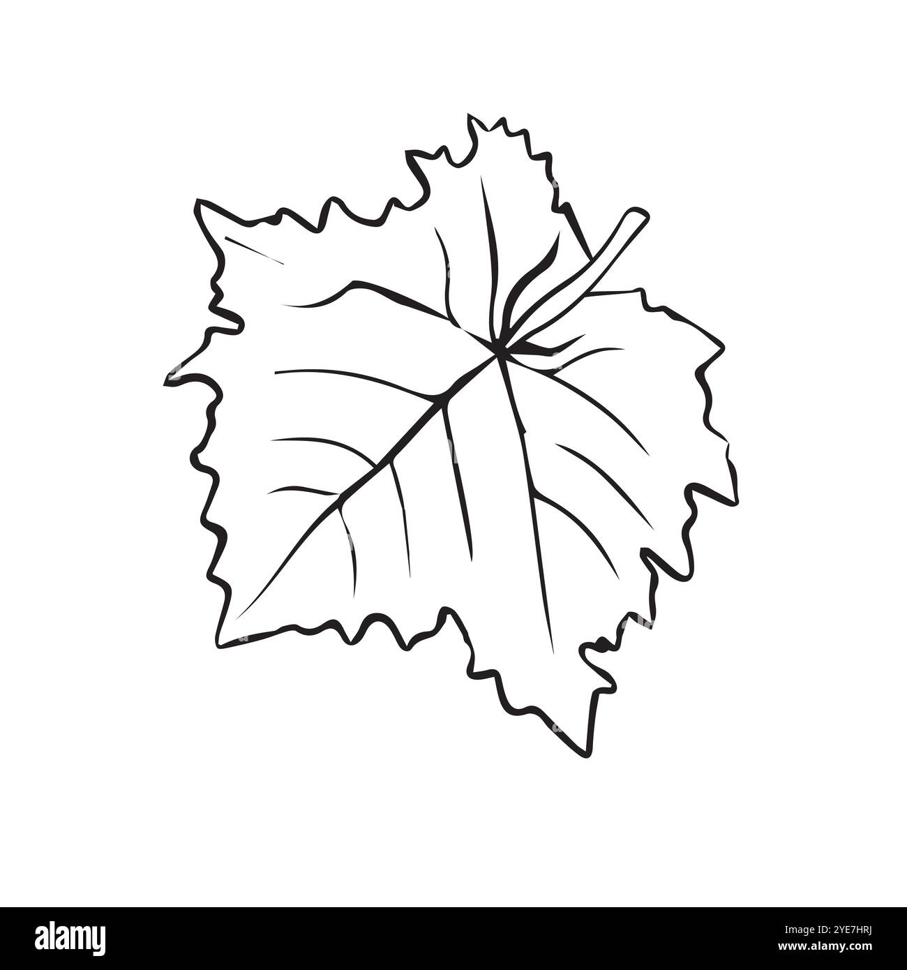 Grape leaf drawn in hand sketch style. Stock Vector