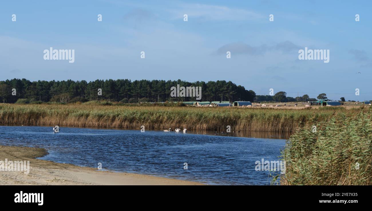 Lagoon in Benacre National Nature Reserve Stock Photo - Alamy