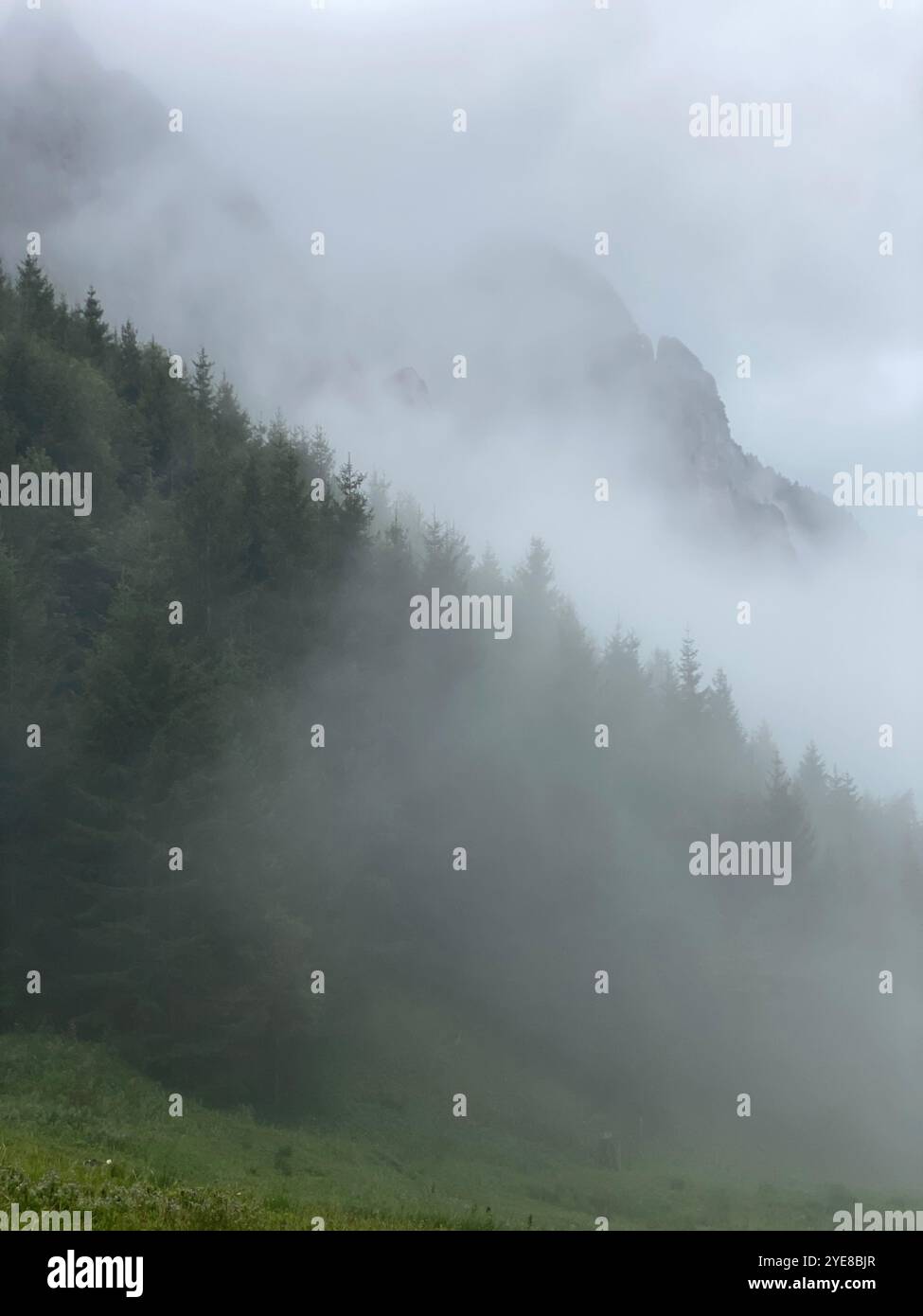 Scenic Allgäu from Tegelberg in Germany Stock Photo