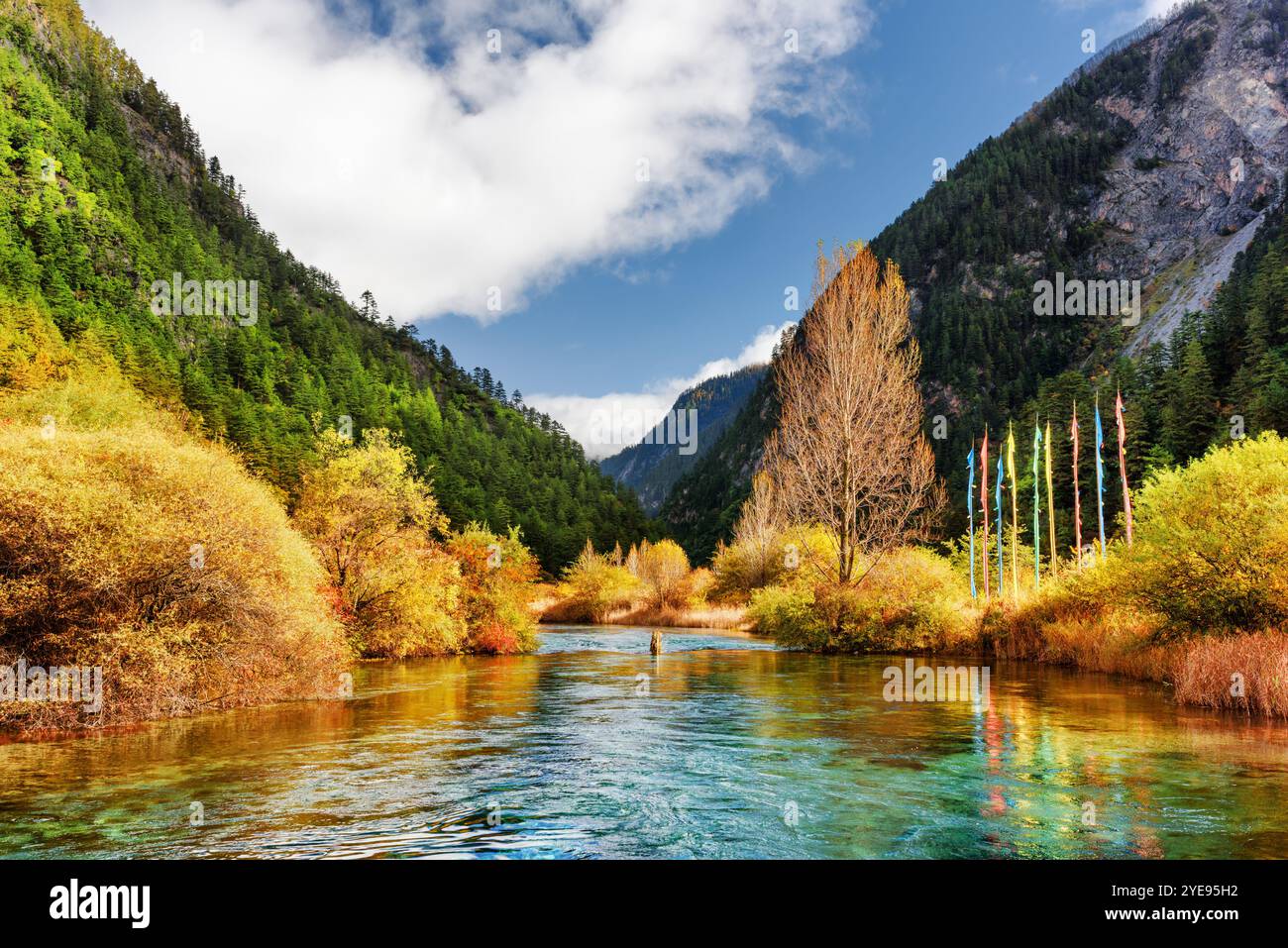 Clear water in the mountains hi-res stock photography and images - Alamy