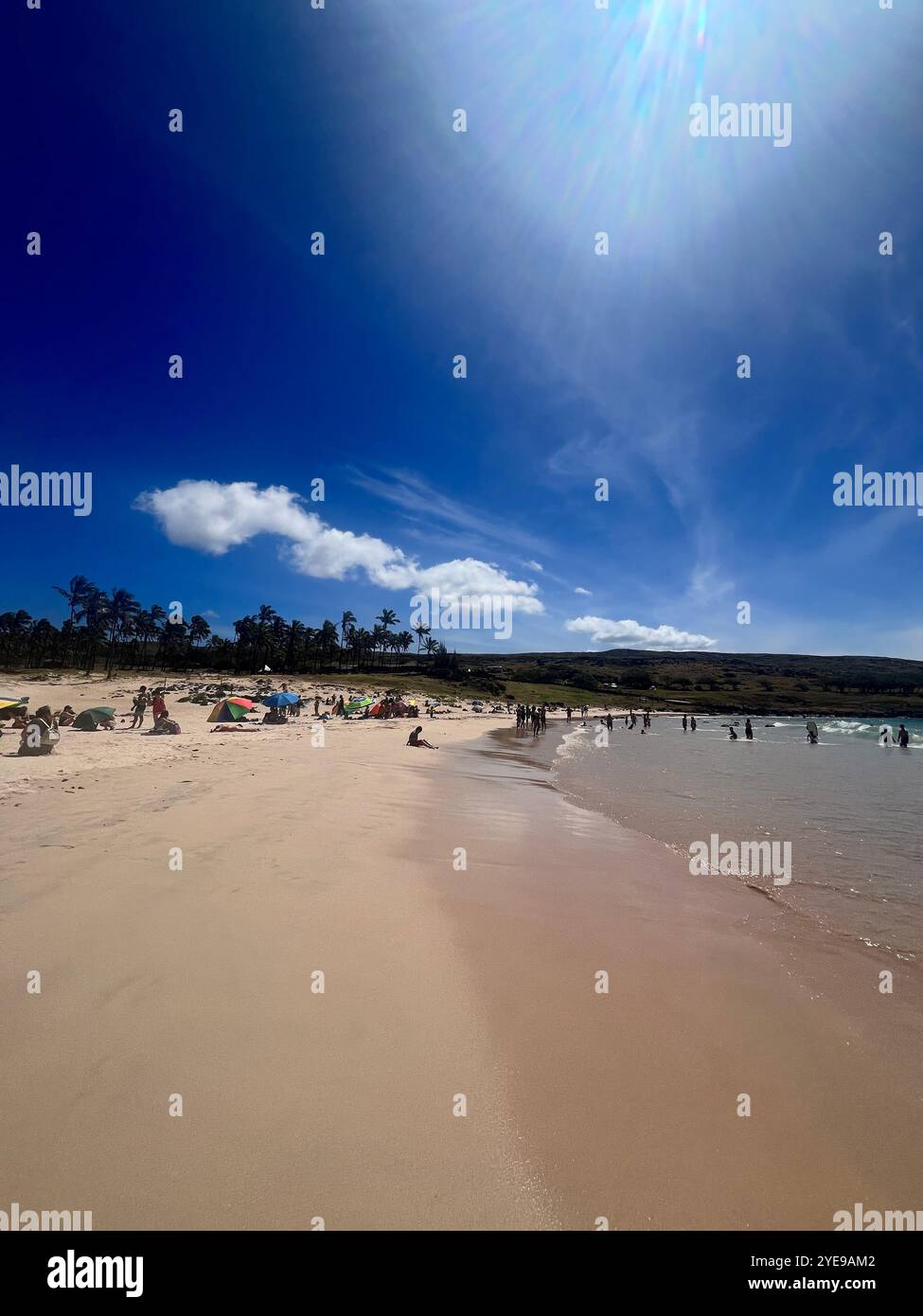 Sunny day at Anakena Beach, Easter Island, Chile, with soft sand, clear blue water, and visitors enjoying the tropical landscape framed by palm trees. - Smartphone Captured Stock Image