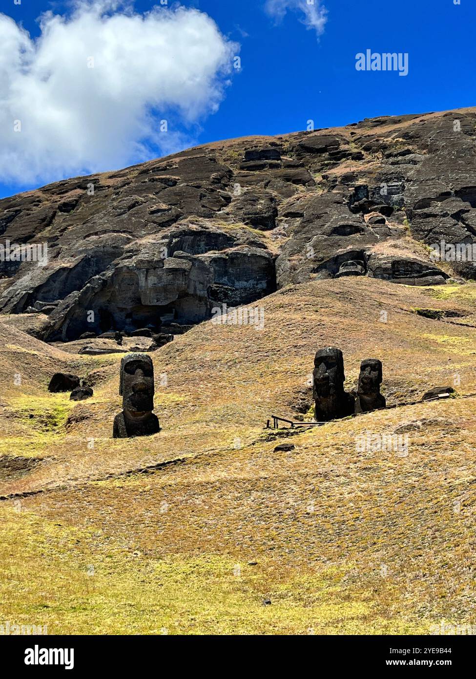 Moai statues at Rano Raraku quarry on Easter Island, Chile, stand partially buried in a grassy hillside under a blue sky. UNESCO World Heritage Site. - Smartphone Captured Stock Image