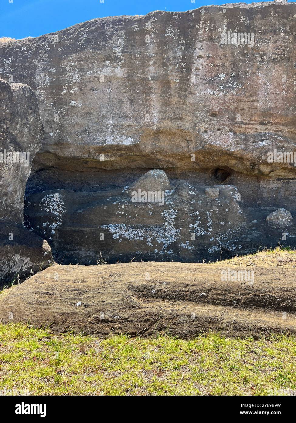 Partially carved moai statue at Rano Raraku quarry on Easter Island, Chile, embedded in the rock face. UNESCO World Heritage Site represents Rapa Nui. - Smartphone Captured Stock Image