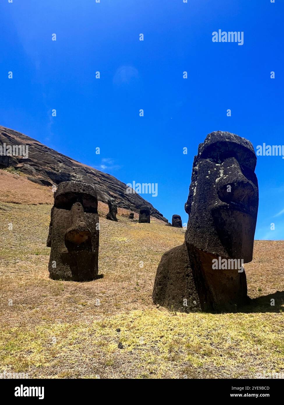 Moai statues at Rano Raraku quarry on Easter Island, Chile, stand against a blue sky. This UNESCO World Heritage Site represents ancient Rapa Nui life - Smartphone Captured Stock Image