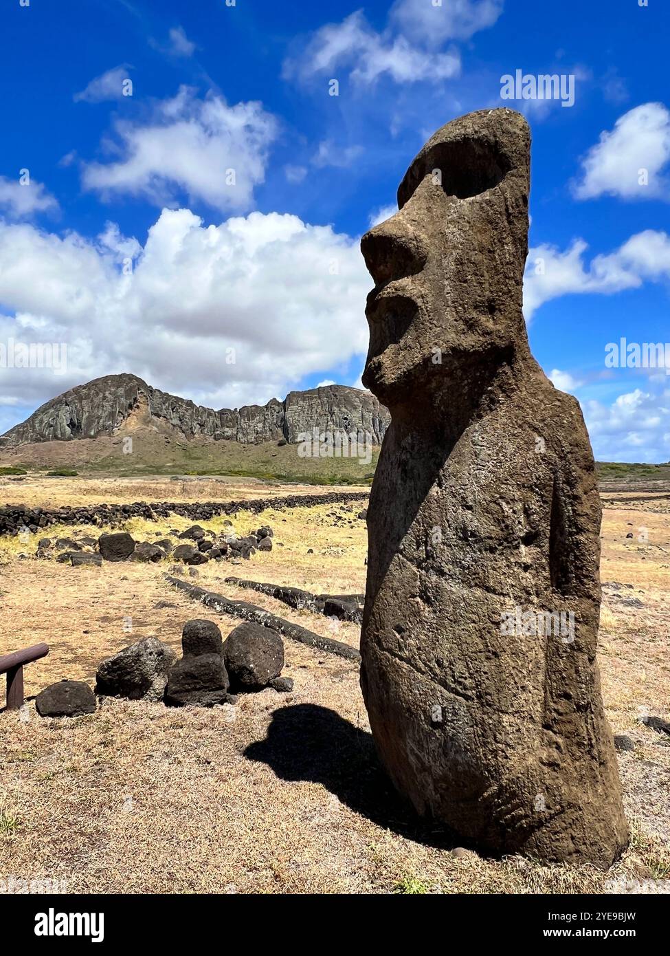 Majestic moai statue stands on Easter Island, Chile, framed by rugged landscape and blue sky, showcasing Rapa Nui's mysterious ancient stone-carvings - Smartphone Captured Stock Image