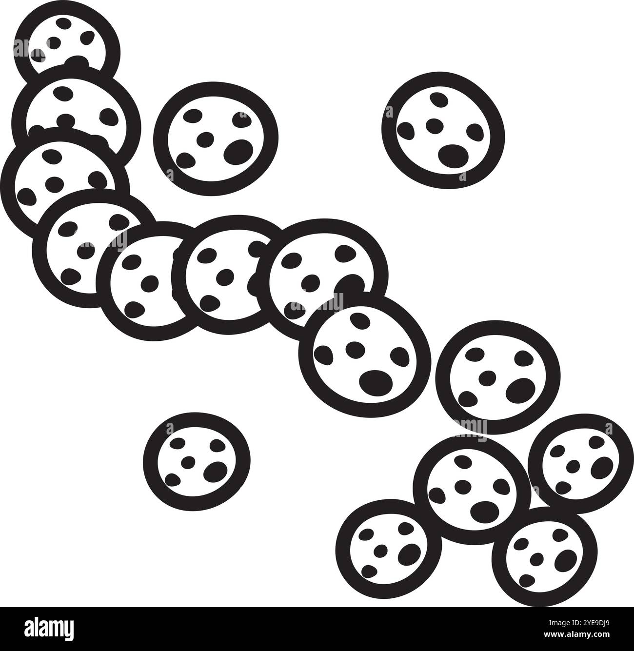 Scattering of delicious chocolate chip cookies forming an abstract s shape, great concept for representing baking, pastry, or even the letter s itself Stock Vector