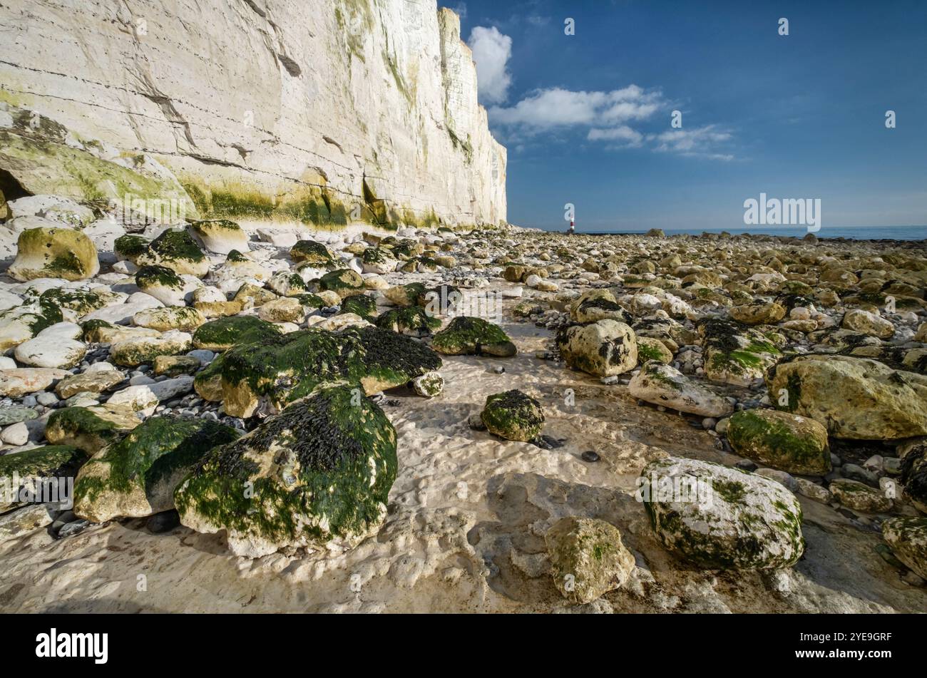 Beachy Head Lighthouse And Beachy Head White Chalk Cliffs Beachy Head