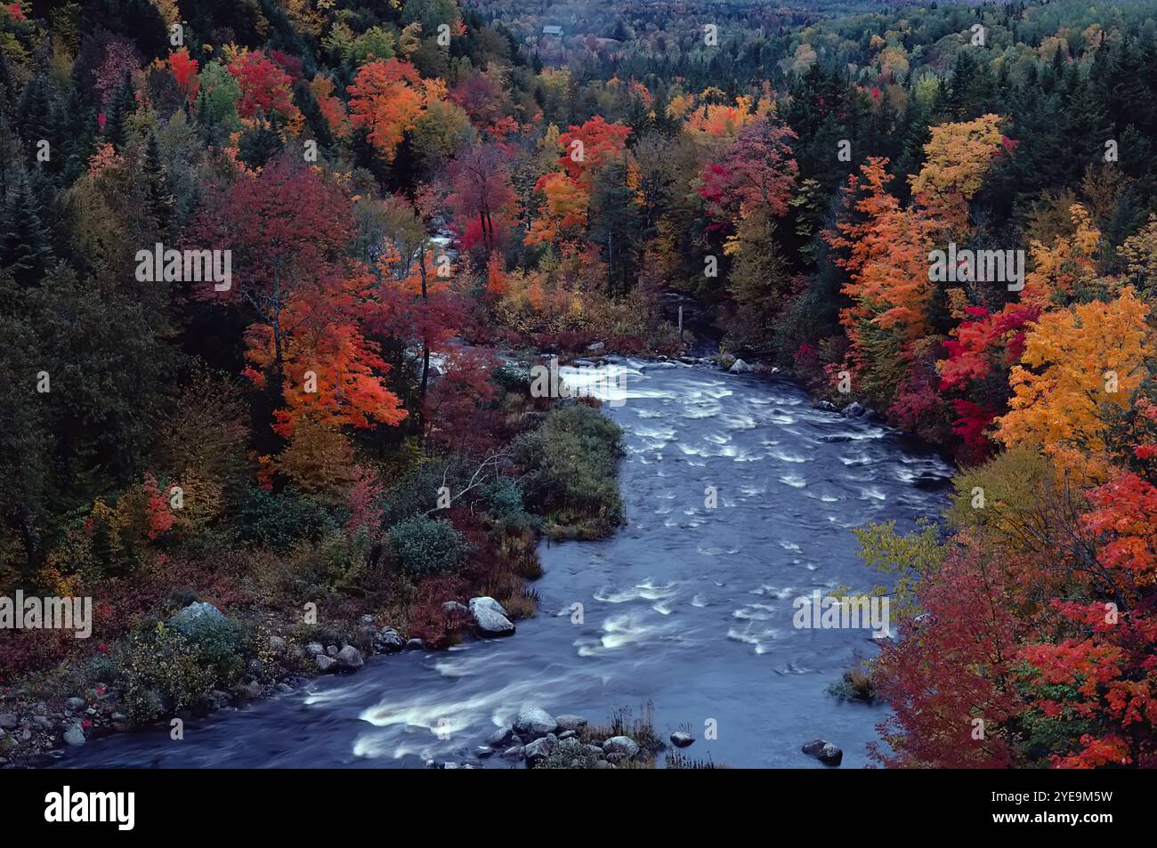 Nb Rivers River flowing in autumn in Saint John Valley, New Brunswick, Canada ...