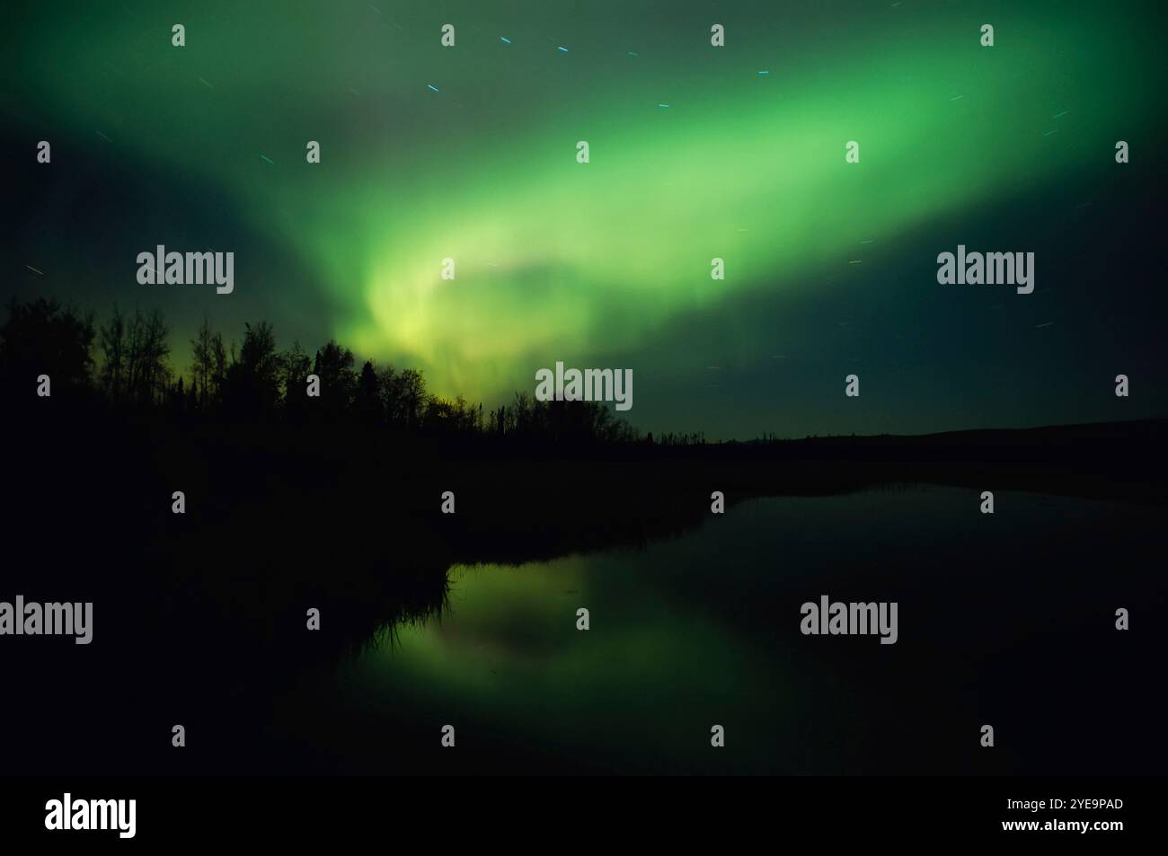 Northern Lights glowing green in the night sky over the Yukon Territory ...