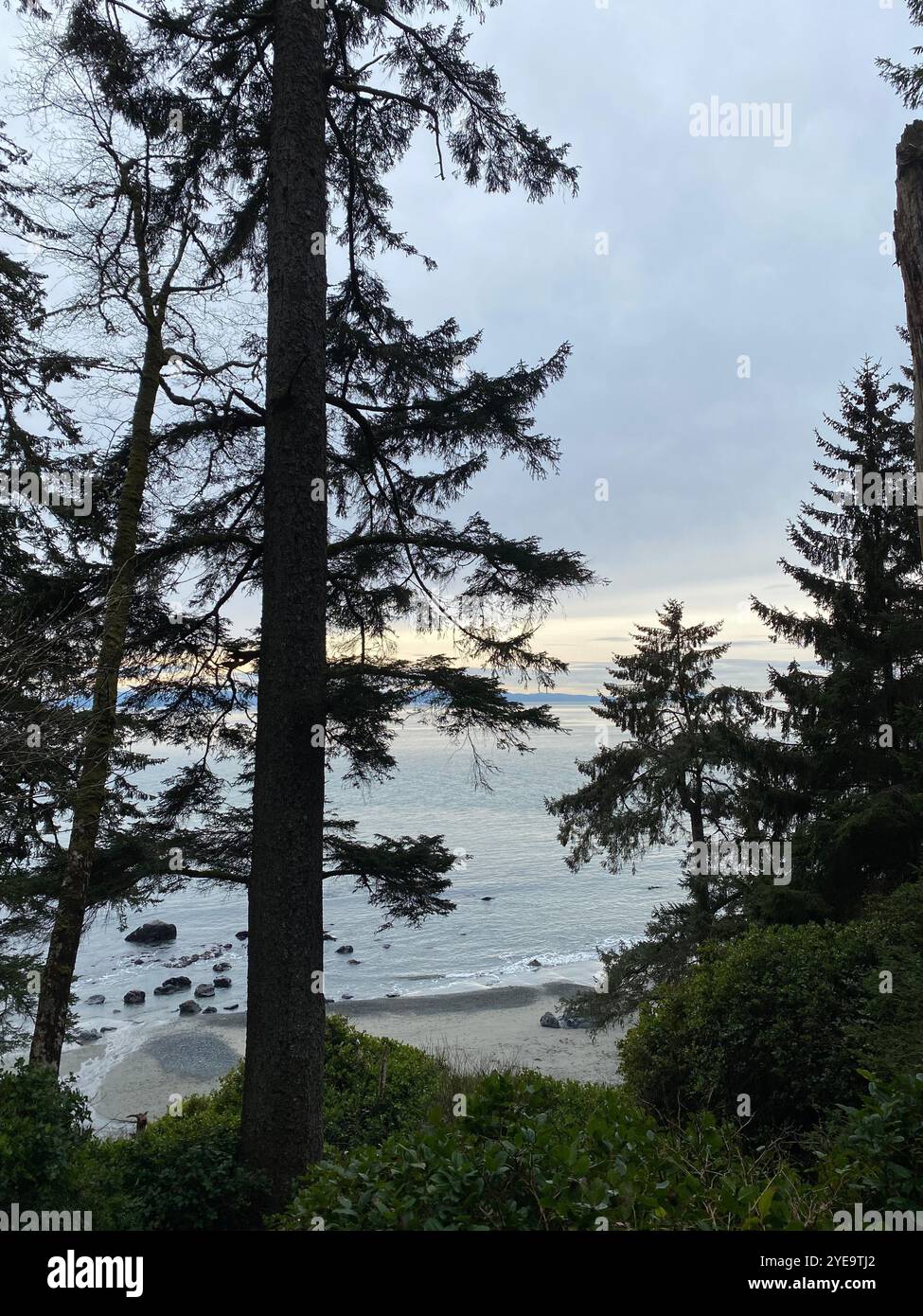 Lake Tahoe - Smartphone Captured Stock Image