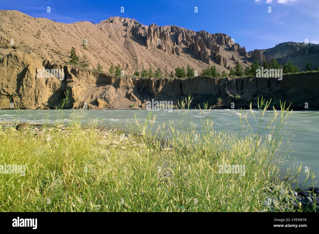 Farwell Canyon and the Chilcotin River in BC, Canada; Chilcotin, British Columbia, Canada Stock Photo