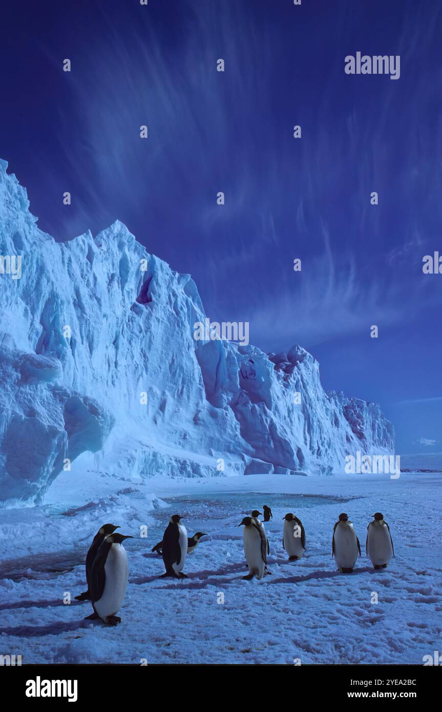 Why the Fimbulisen Ice Shelf Matters