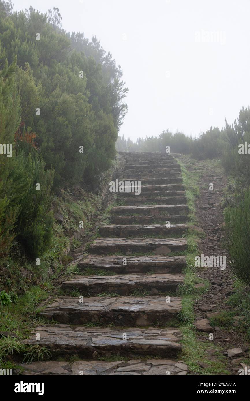 Steps in the fog leading up to Pico Ruivo, the highest peak on Madeira ...