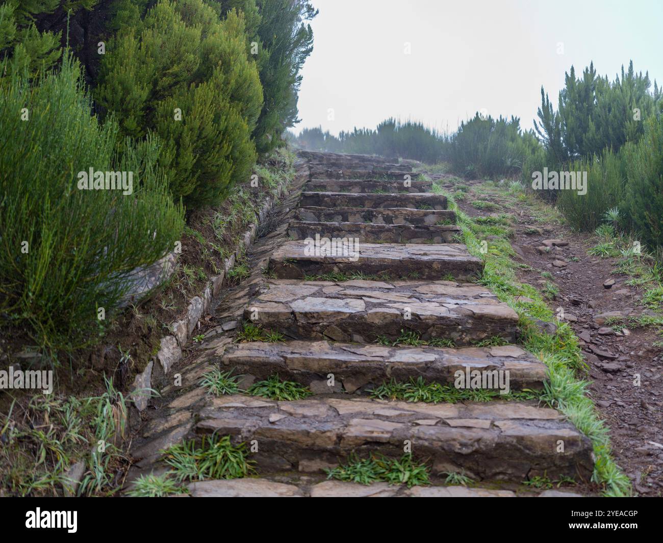 Stone pathway with steps along lush mountainside with hazy sky in Ilha ...