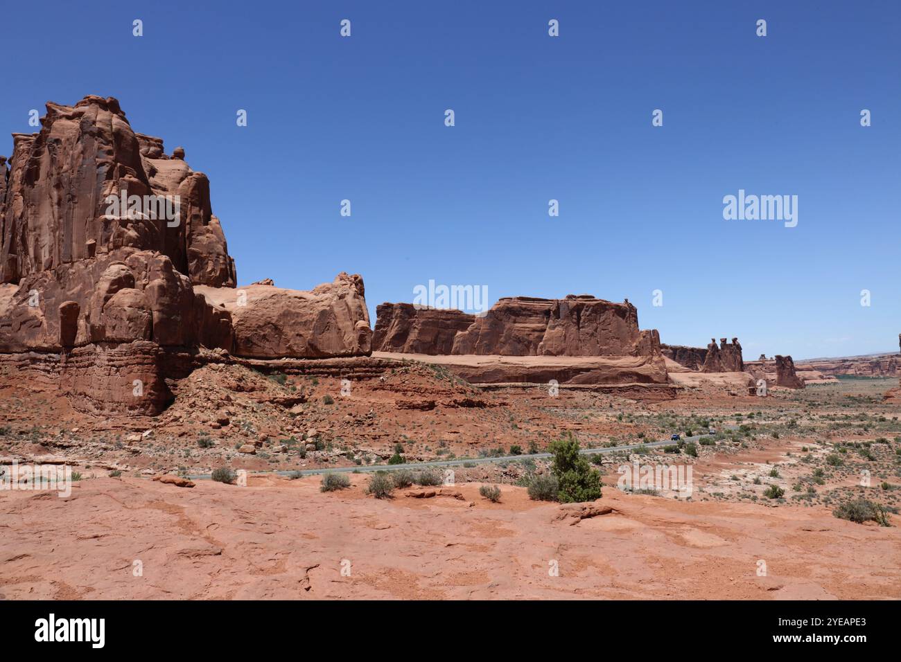 The Main Park Road cutting through the desert landscape, lined by ...