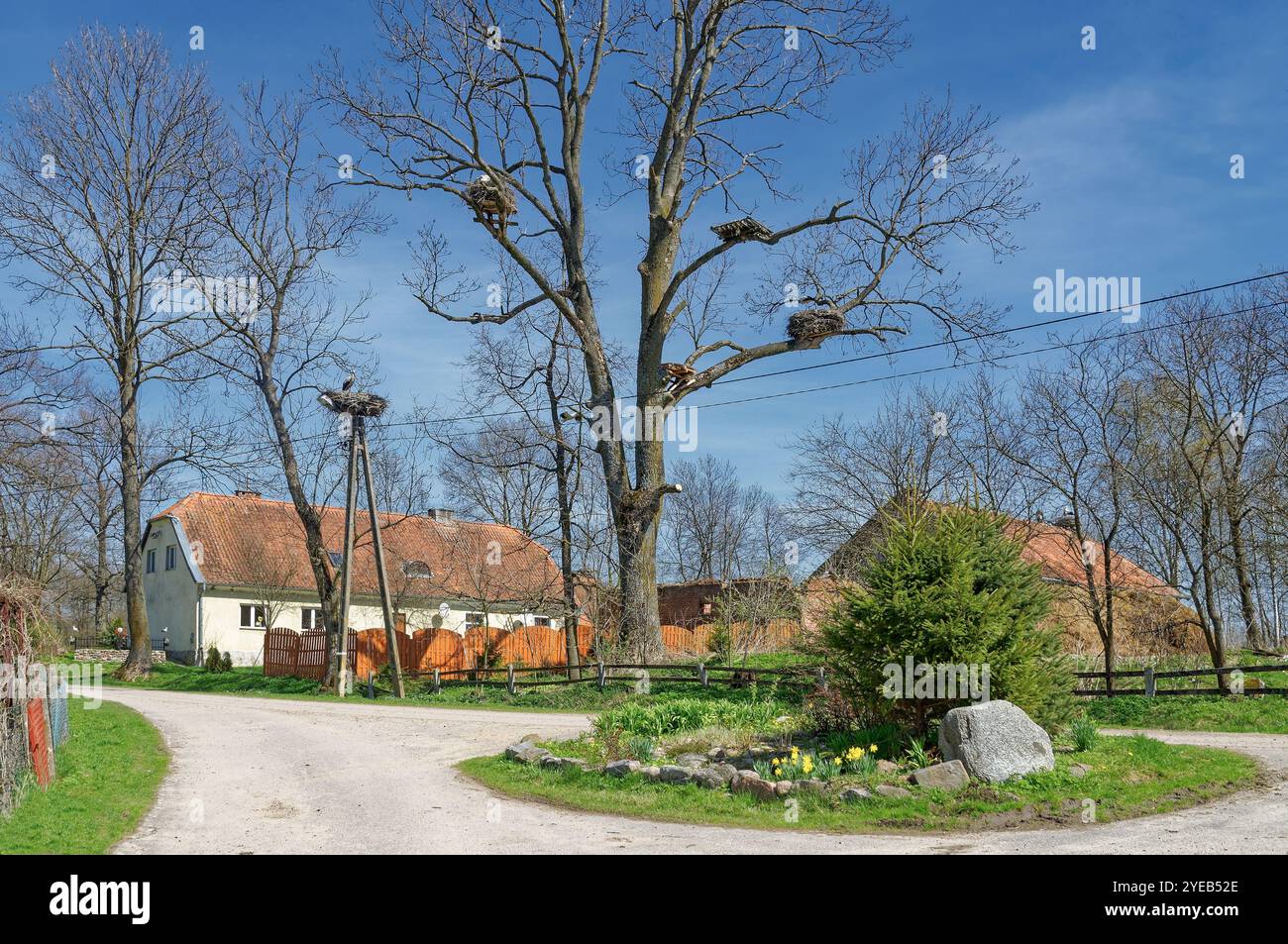 Village of Storks Zywkowo in Warmia Masuria Voivodeship, Poland Stock Photo