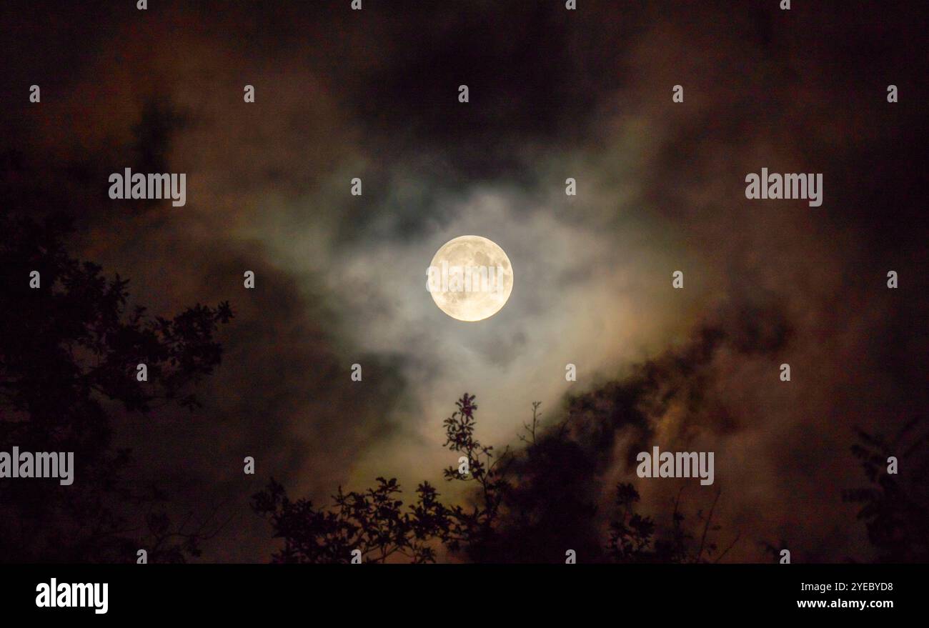 Beautiful full moon halo time hi-res stock photography and images - Alamy