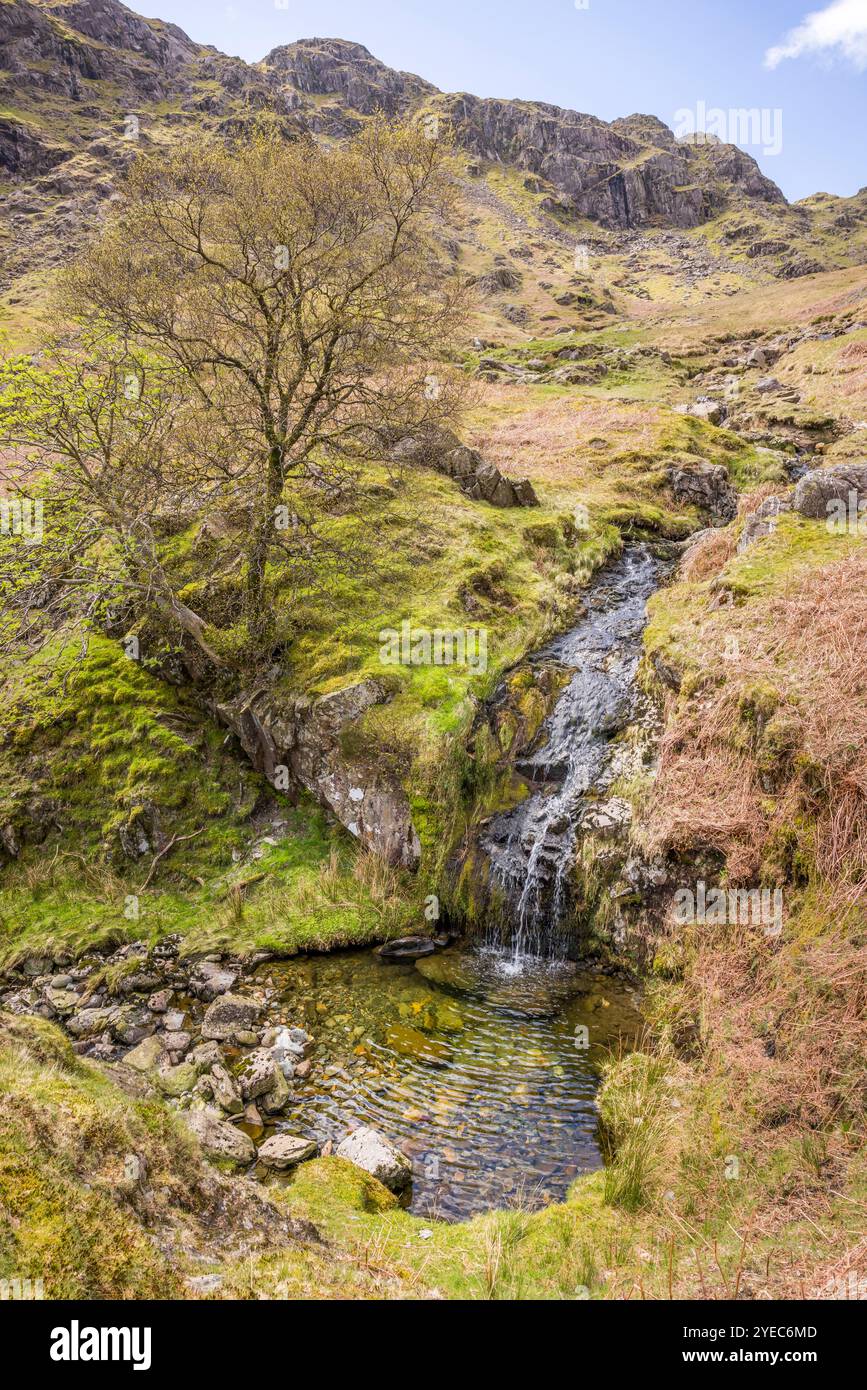 Stream with waterfall and pool in springtime. Far Easedale Gill, Grasmere, Lake District, UK Stock Photo