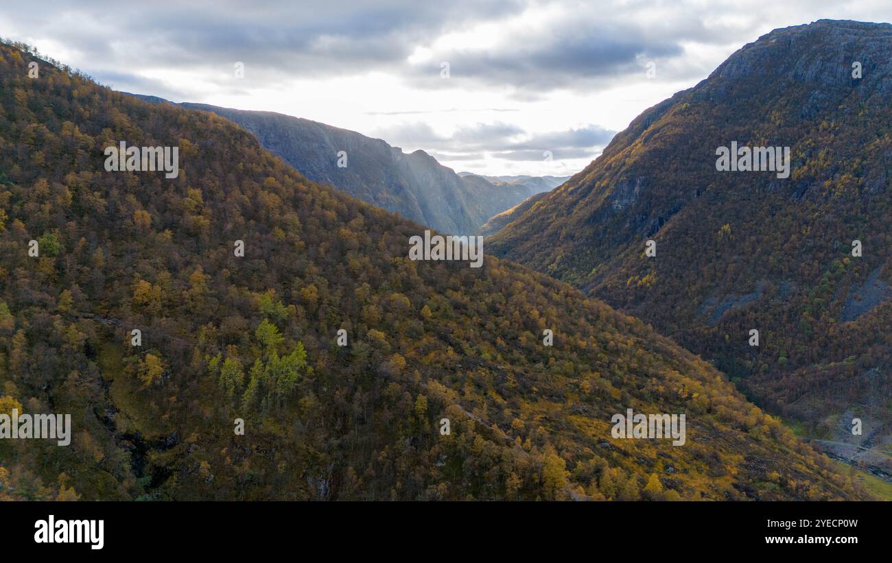 Aerial view scenic forested valley hi-res stock photography and images ...