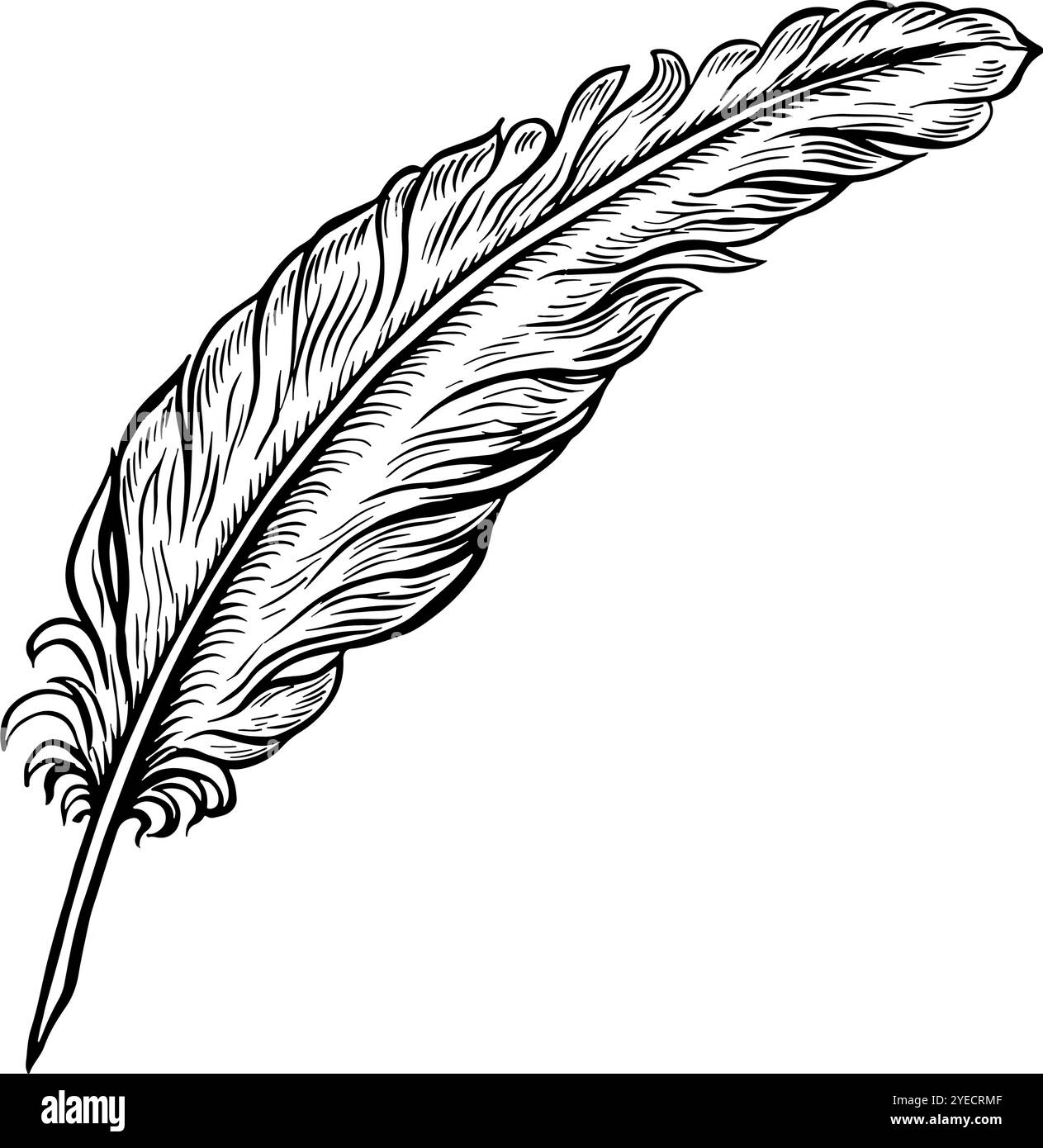 Quill Graphics A quill pen for the manuscript. Vector black and white hand-drawn ...