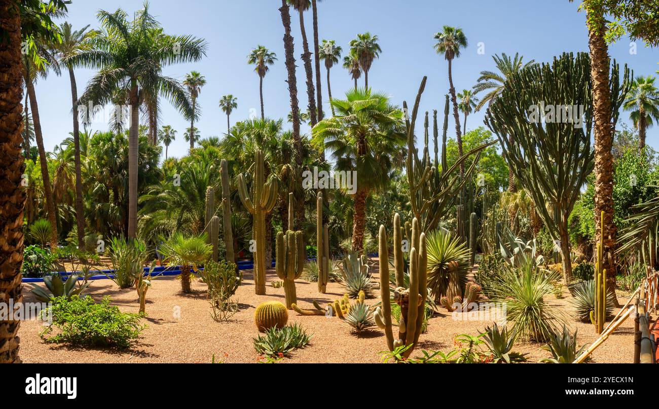 Mexican sky garden hi-res stock photography and images - Alamy