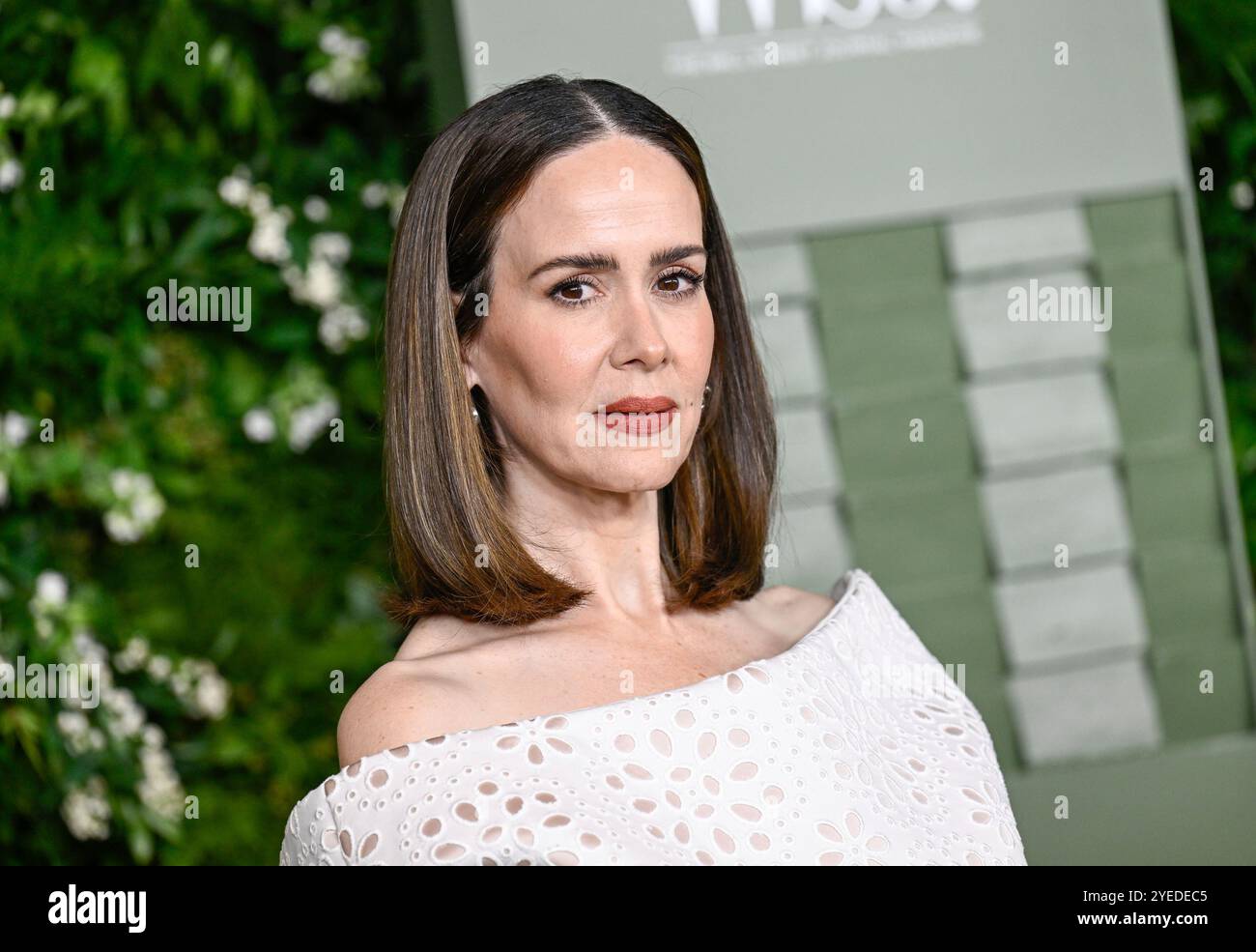 Sarah Paulson Climbs Museum