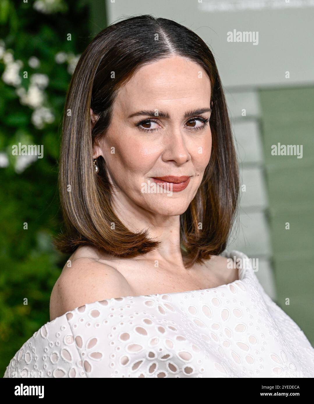 Sarah Paulson Climbs Museum