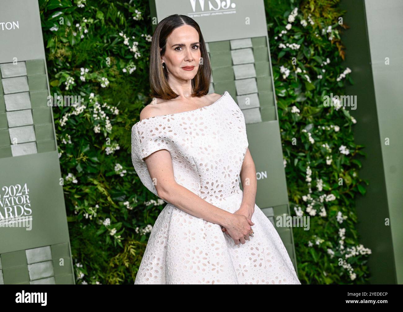 Sarah Paulson Climbs Museum