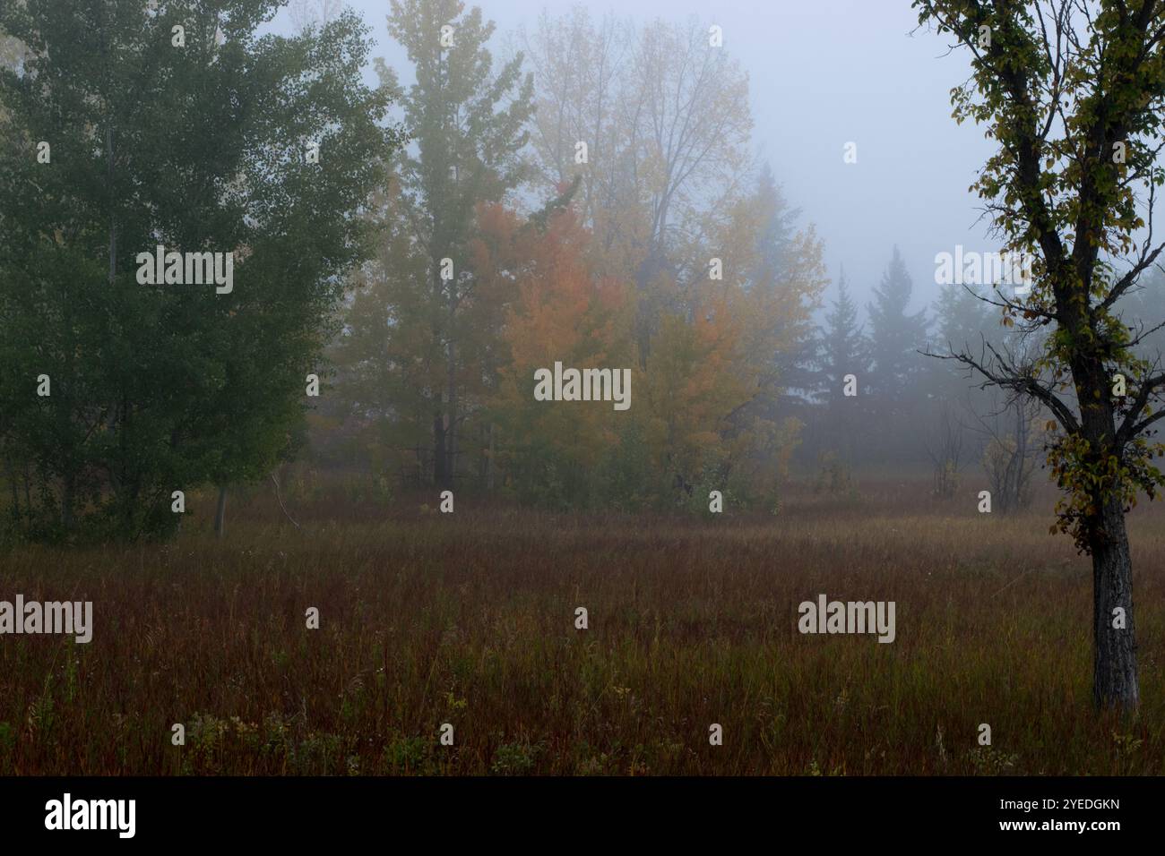 Fall scenery from the trail Stock Photo - Alamy