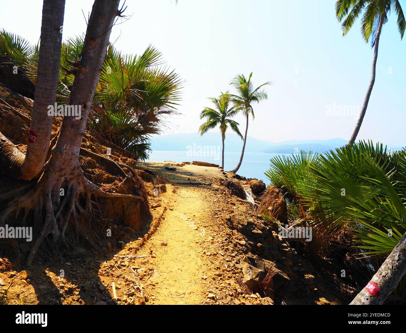 Andamans and nicobar islands tsunami hi-res stock photography and ...