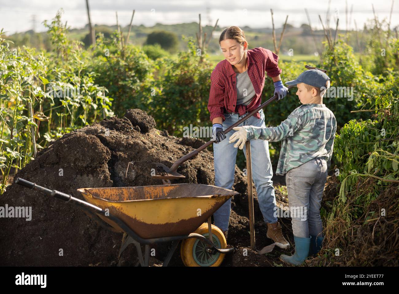 Young woman and boy putting soil in wheelbarrow Stock Photo - Alamy