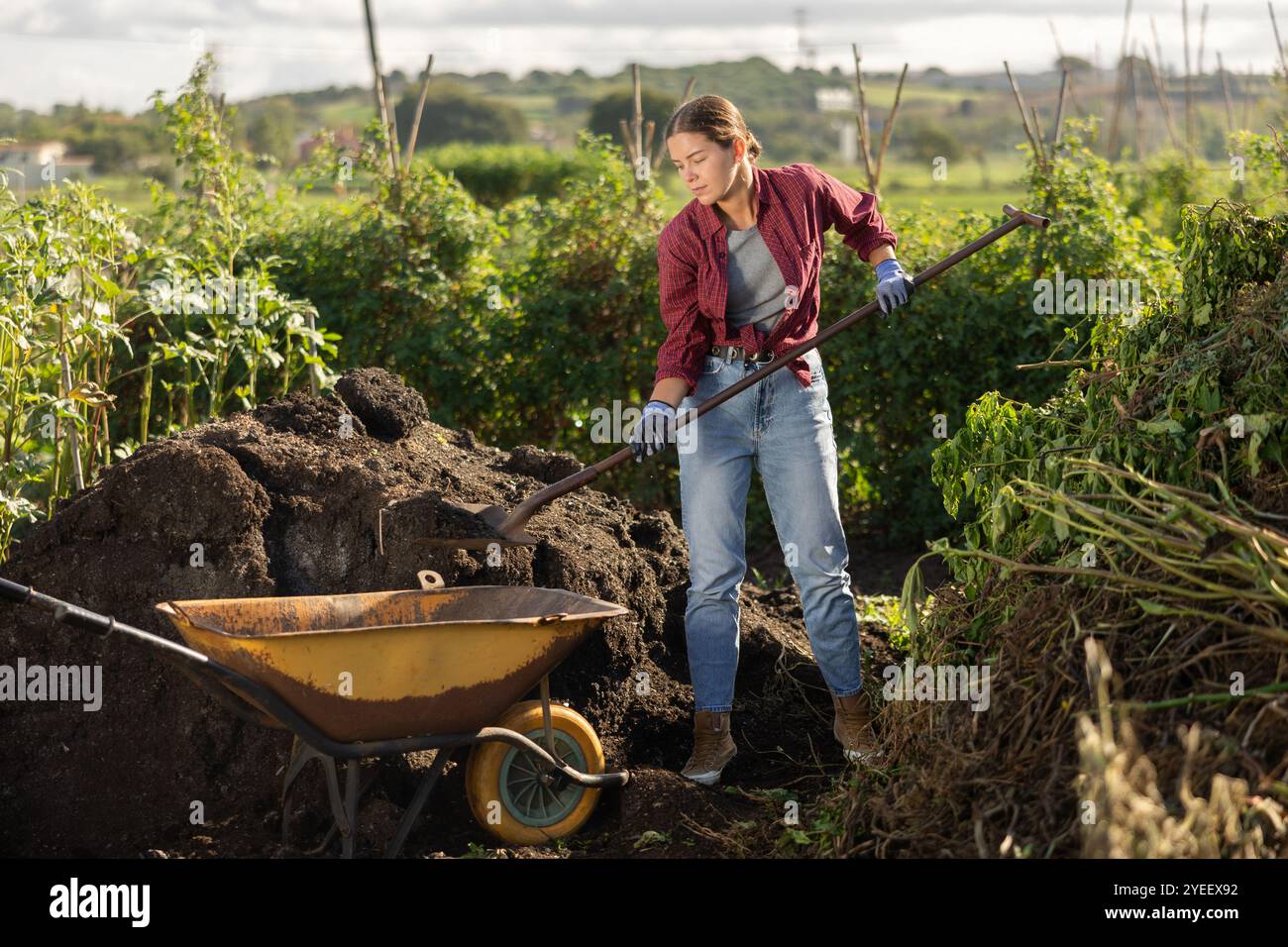 Young woman putting soil in wheelbarrow Stock Photo - Alamy