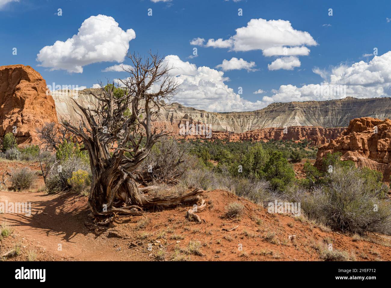 Panoramic view of the Kodachrome Basin State Park seen from the Panorama Point, in southern Utah Stock Photo