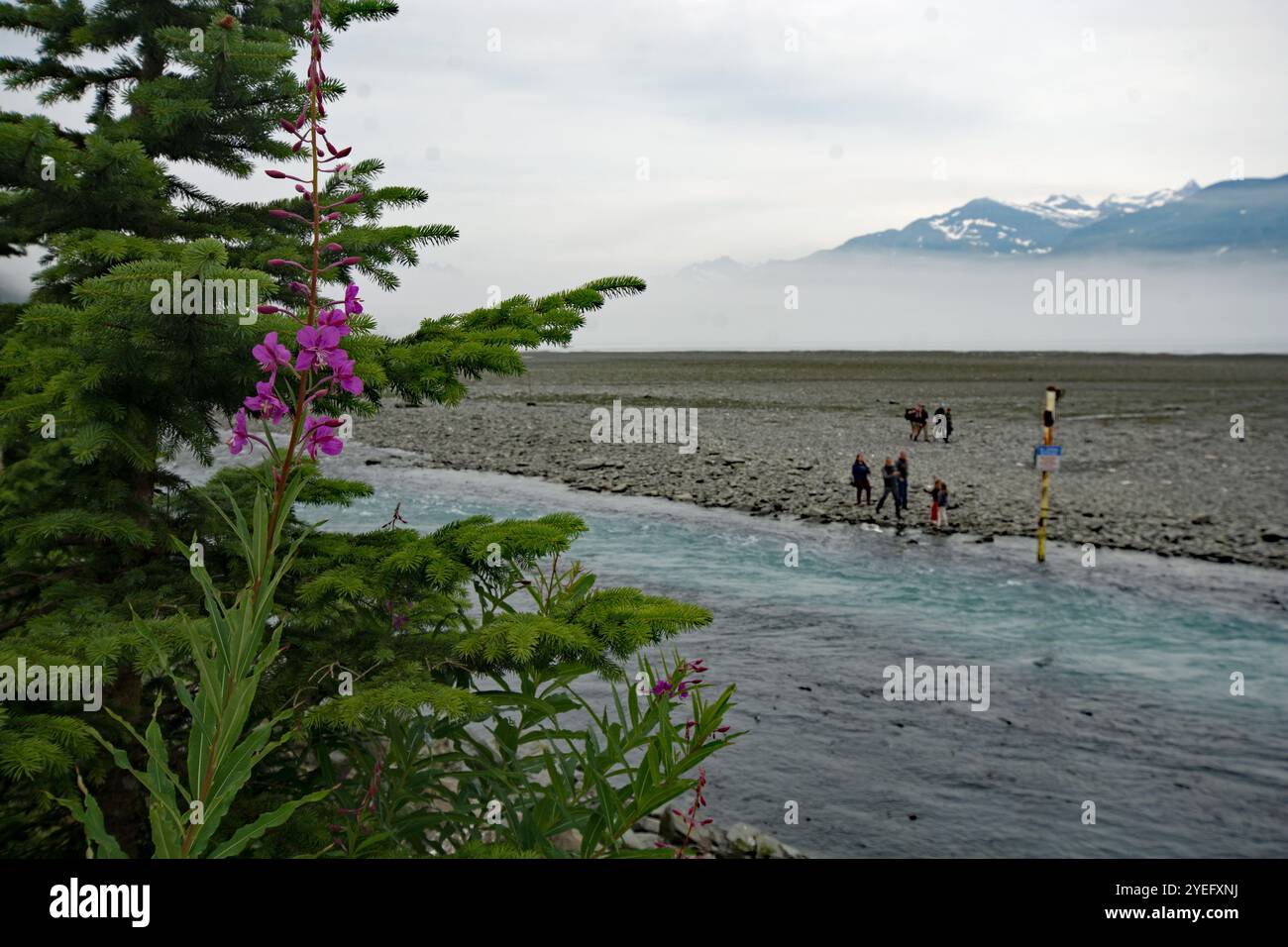 Alaska & The Inside Passage Stock Photo