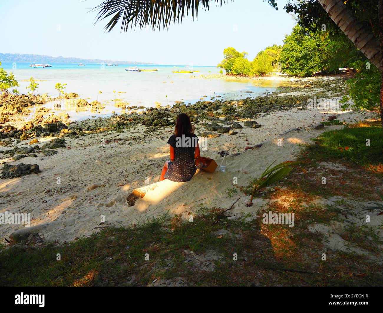 Havelock Island (Swaraj Dweep), Andaman and Nicobar Islands, Andaman ...