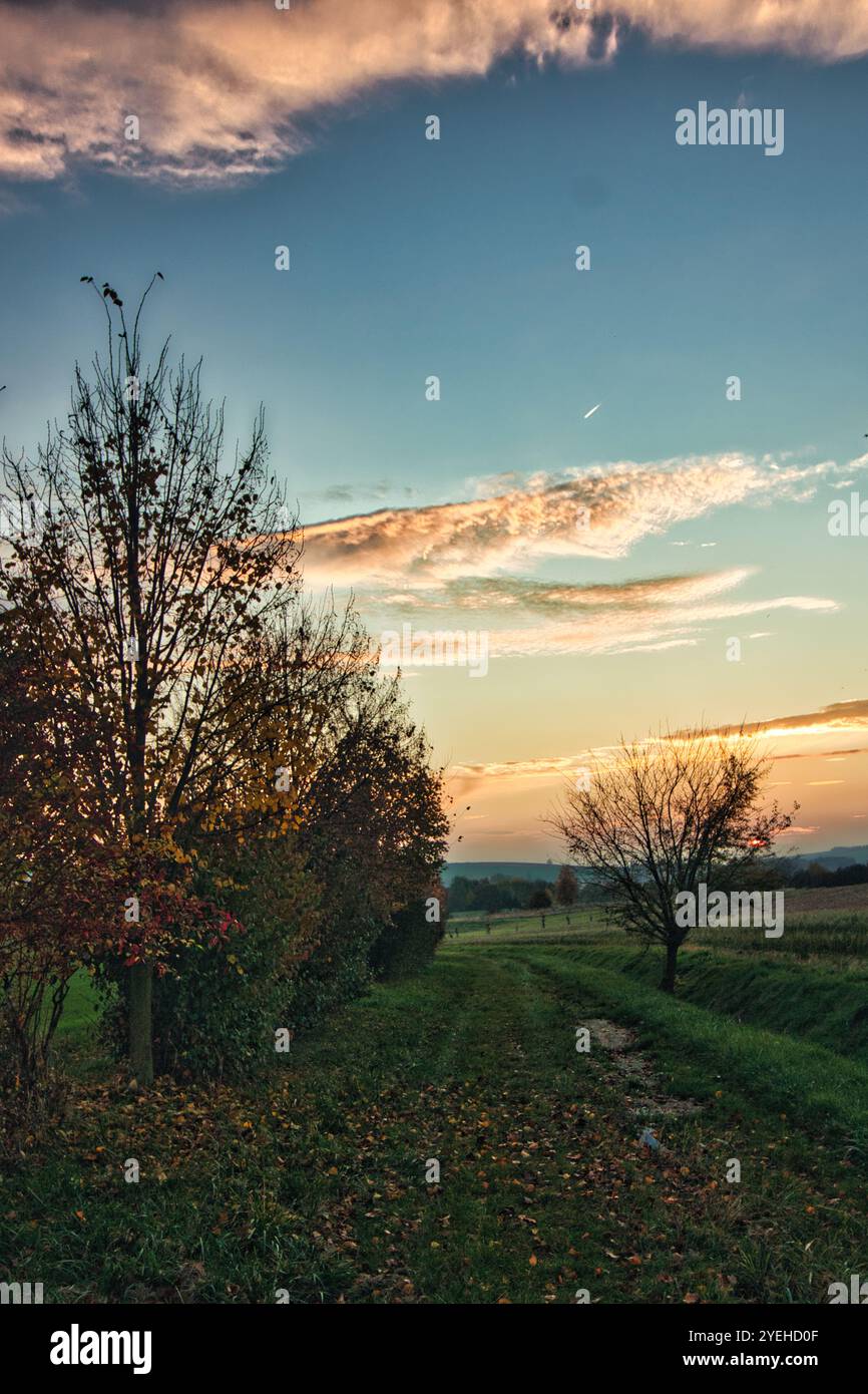 autumn path between the fields Stock Photo - Alamy
