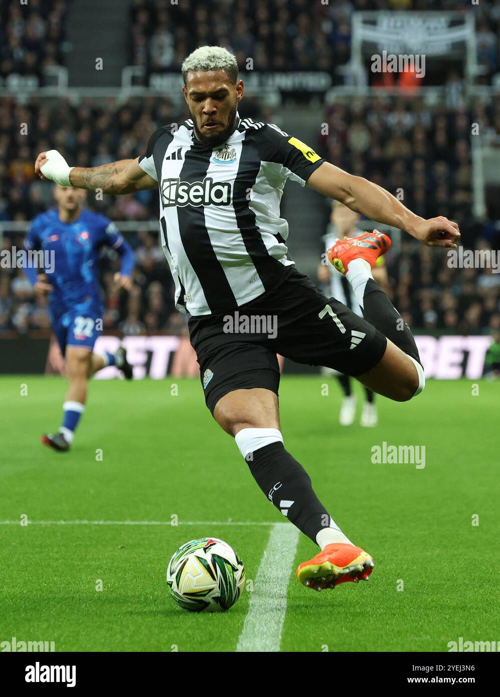 Joelinton newcastle united 2024 hi-res stock photography and