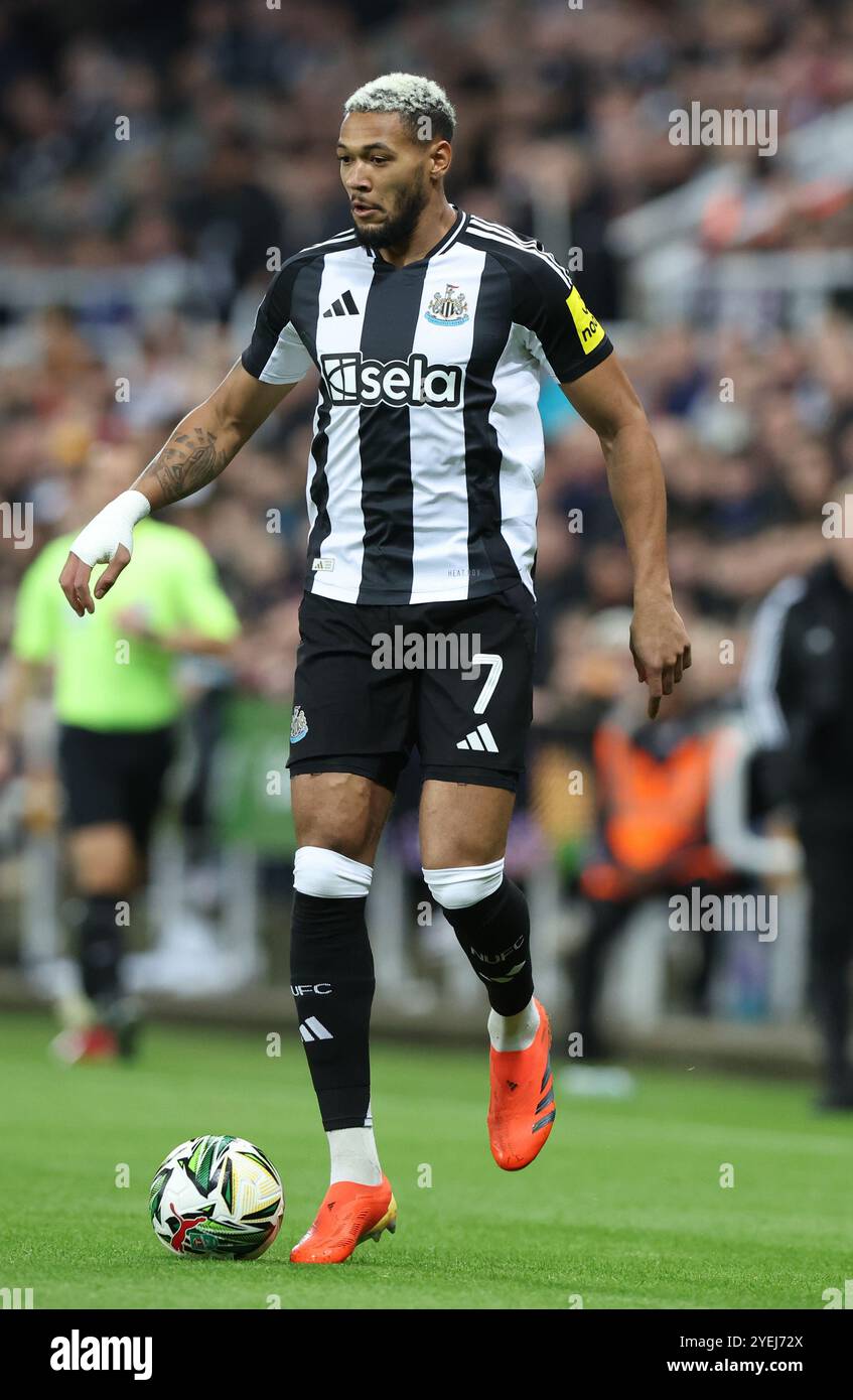 Joelinton newcastle united 2024 hi-res stock photography and