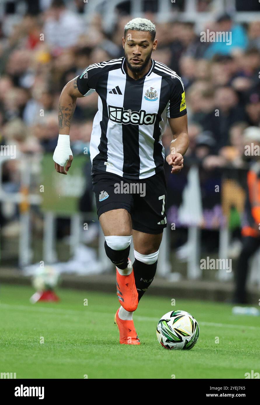 Joelinton newcastle united 2024 hi-res stock photography and